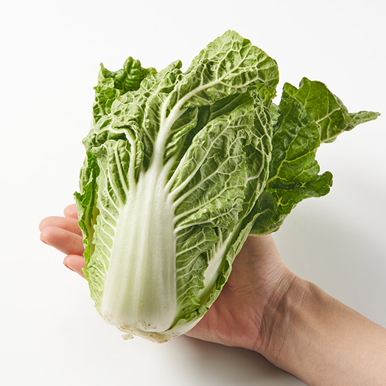 未施農藥白菜（埼玉縣產）