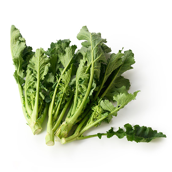 微微甘苦鮮味 意大利芥藍菜 (埼玉縣產)