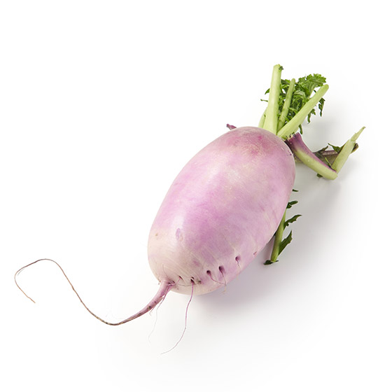 爽脆甜味！紫紅蘿蔔(靜岡縣產)