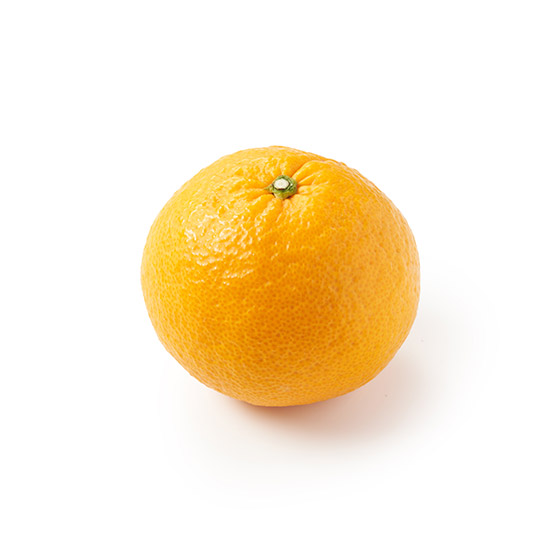 夏橙之王！顆粒口感 夏王柑(熊本縣產)