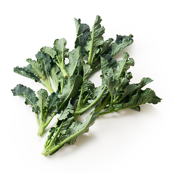 西蘭花與羽衣甘藍的完美結合！亞萊塔(埼玉縣)