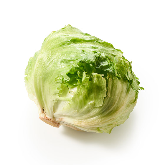 肉厚！結球生菜 (靜岡縣產)