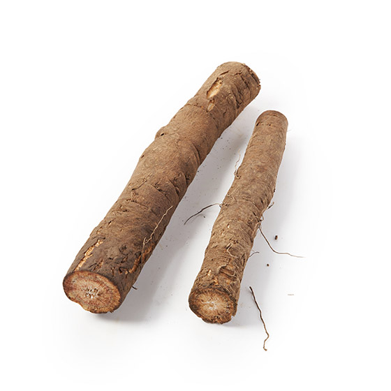 溫和甜味 極粗牛蒡（埼玉縣產）