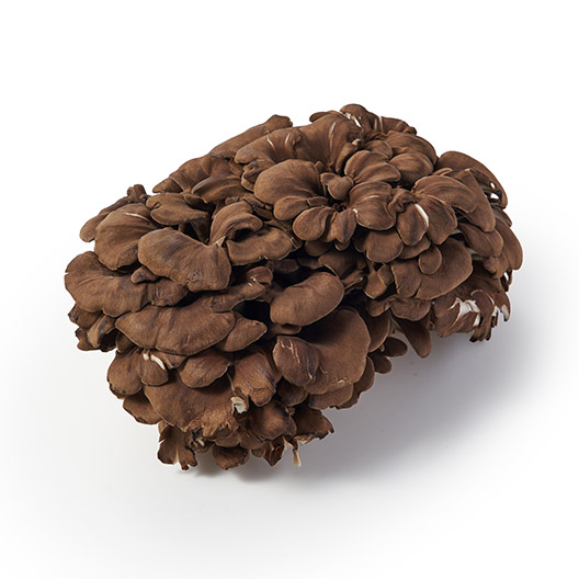 【增量】色香味更濃郁！濃厚舞茸(200g 埼玉縣產)