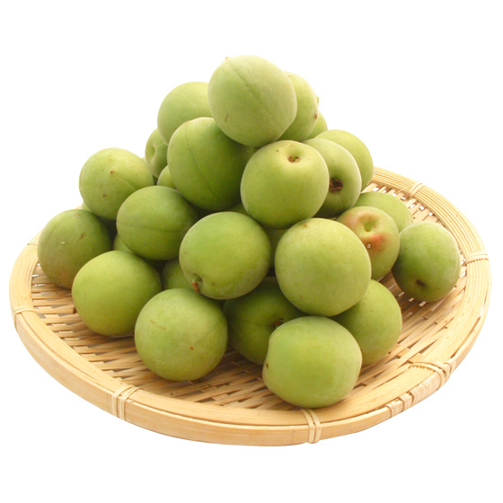 華美香氣飄散 南高梅（500g 和歌山縣產）