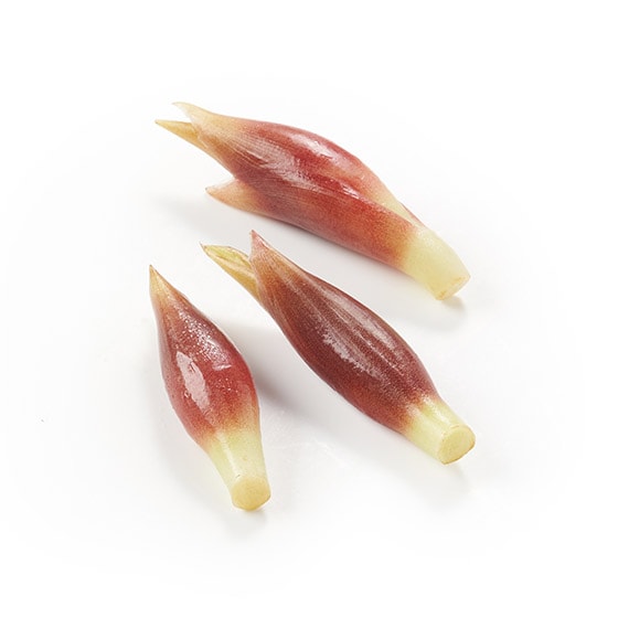 清爽香氣迸發 夏茗荷（高知縣產）