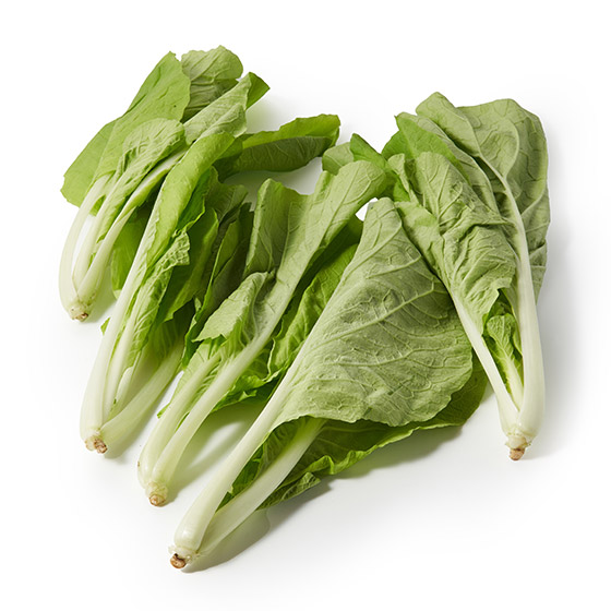 炒菜和沙律都一流！爽口柔軟新品種白菜（埼玉縣產）