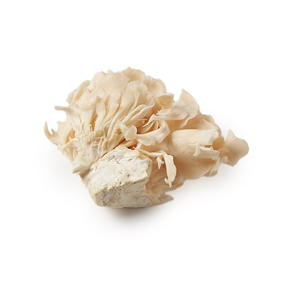 宛如花瓣 白舞茸（新潟縣產）