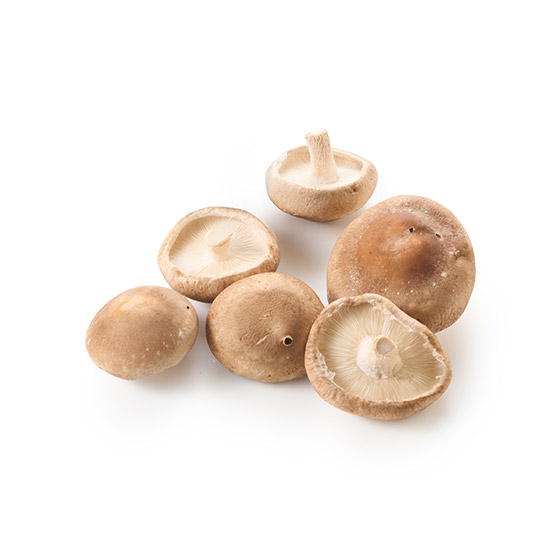 椎茸冬菇（長崎縣產）