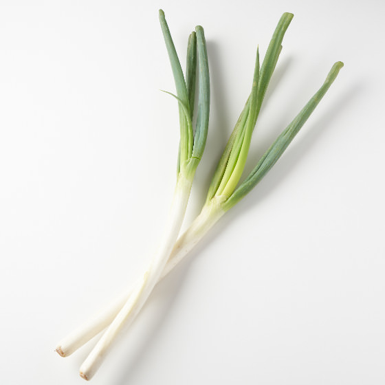 大蔥(鹿兒島縣産)