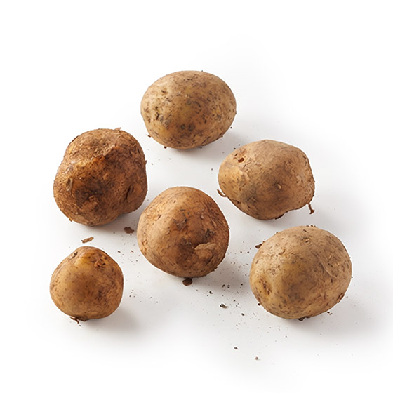 【超值大容量】鬆軟小粒男爵馬鈴薯