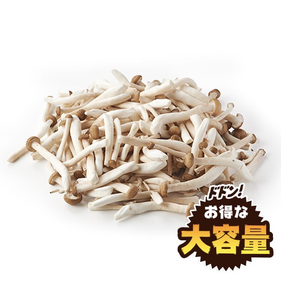 【大容量】豐盈鮮甜金針菇（500g 長野縣產）