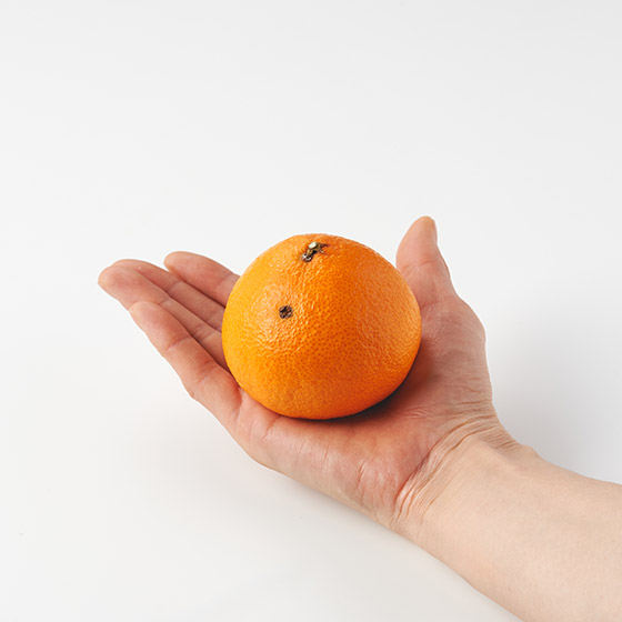 有機栽培 融化果汁 寶石蜜柑（愛媛縣產）