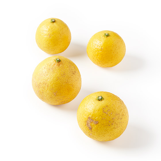 清香怡人!黃金柑(熊本縣或鹿兒島縣產)