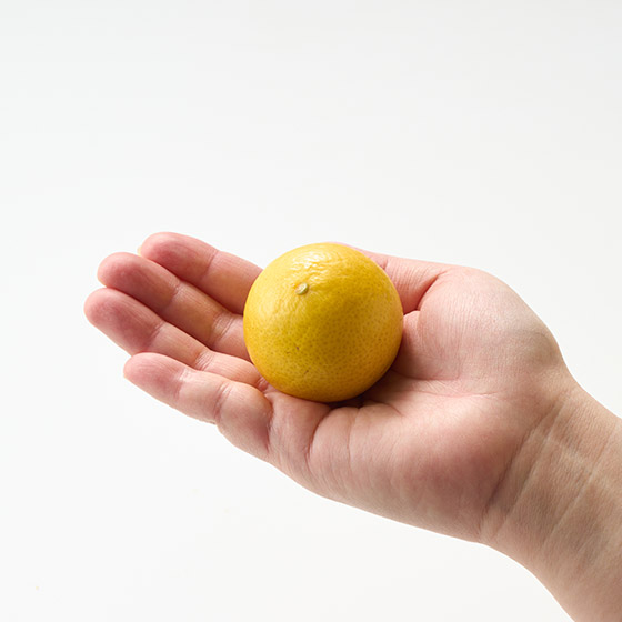 清香怡人！黃金柑（熊本縣或鹿兒島縣產）