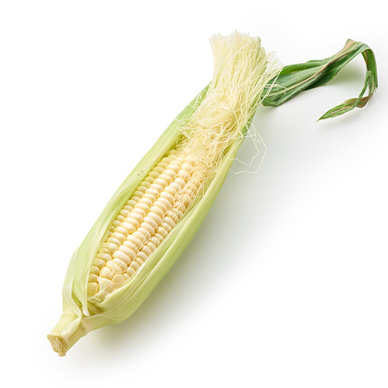 陽光海風中成長　珍珠牛奶白粟米（沖繩縣產）