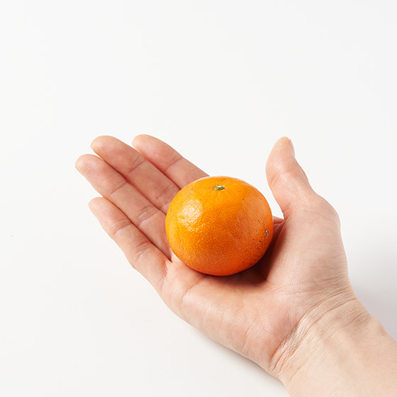 濃郁甜味與多汁果汁 南津海柑（鹿兒島產）