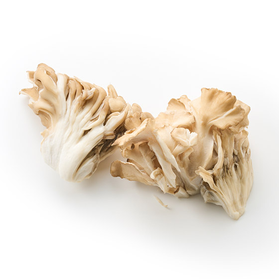 每日餐桌必備！爽脆口感舞茸（北海道產）