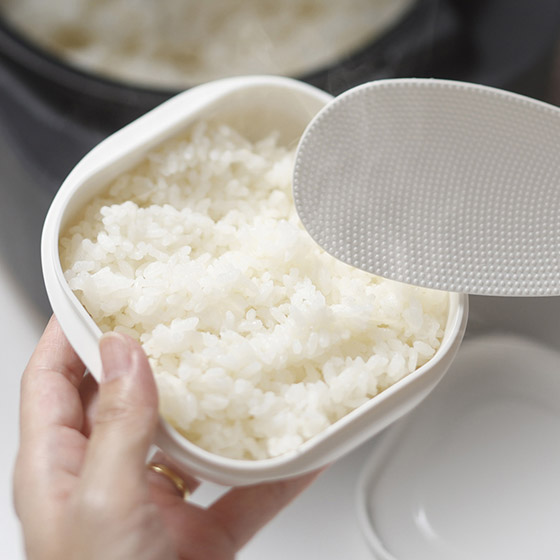 極 冷凍米飯容器 2個裝