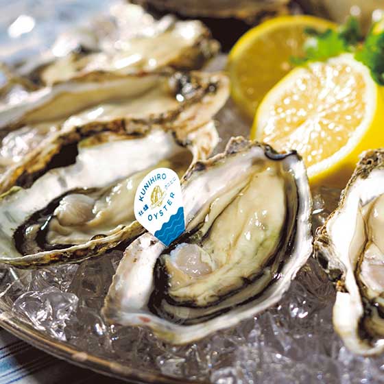 【Oisix精選】厚肉甜味濃郁 Smart Oyster Fresh生蠔