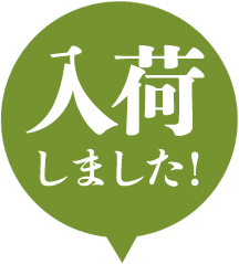 入荷しました