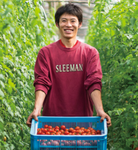 伊原努先生 (車厘茄)