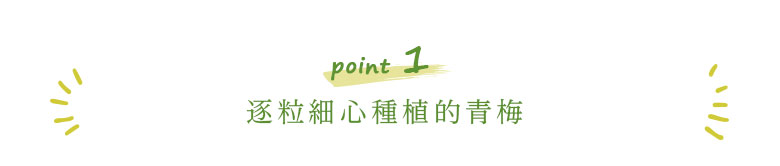 手もぎ紀州梅