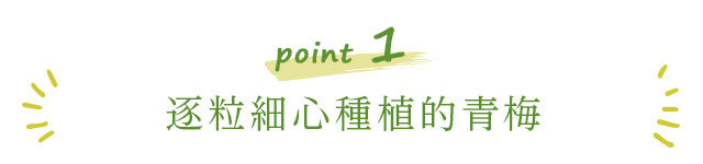 手もぎ紀州梅