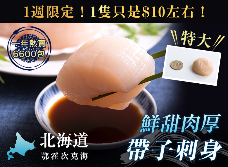 北海道鄂霍次克海 鮮甜肉厚 帶子刺身
