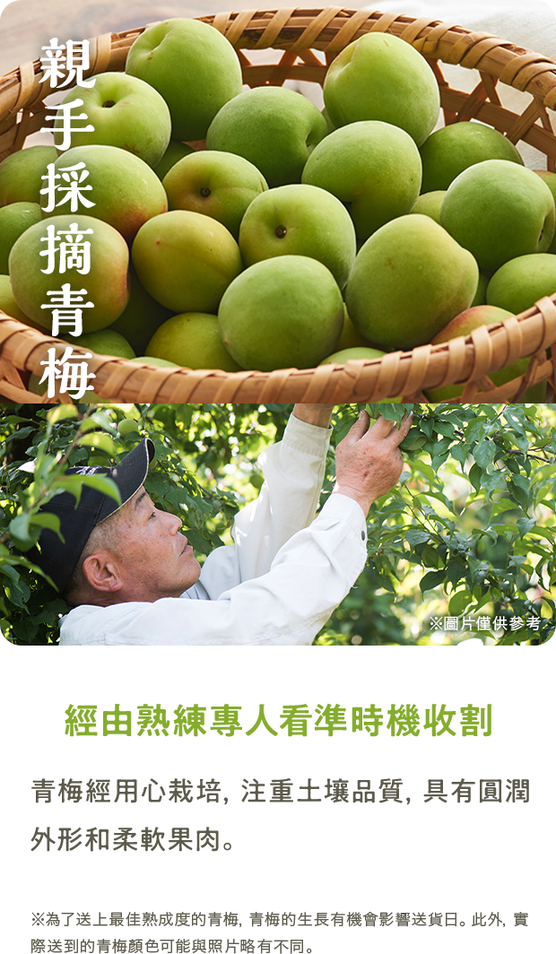 理由１　スライダー