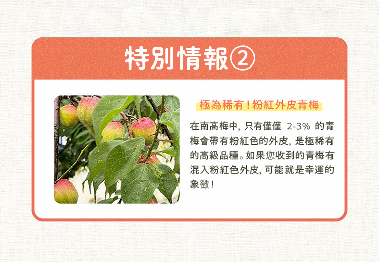 梅の収穫について