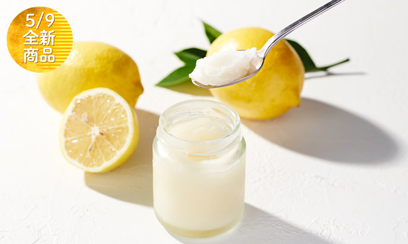 清涼冰爽味蕾的極致享受! 水果DIY冷凍雪葩