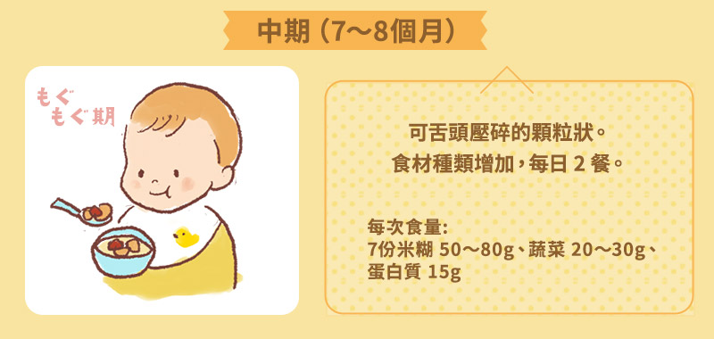 ※中期7～8ヶ月