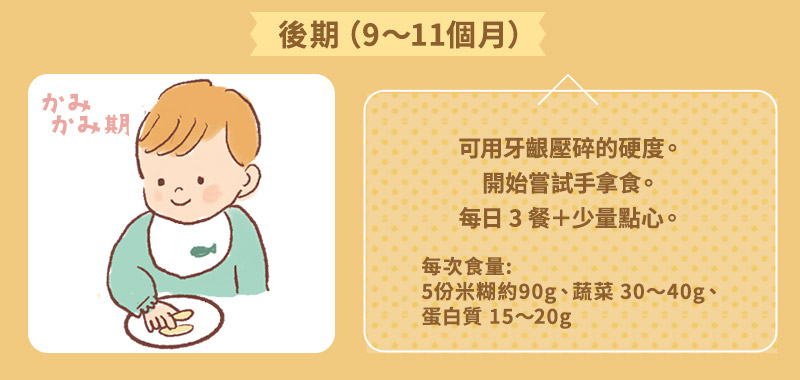 ※中期9～11ヶ月