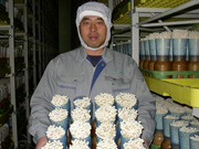 石川浩及其他協作生產者                                                                   
