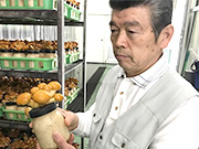 中村幸博及其他協作生產者                                                                