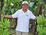 中村好伸等農家                                                                               