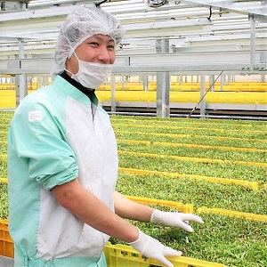 川口康三（生産統括担当者）                                                             